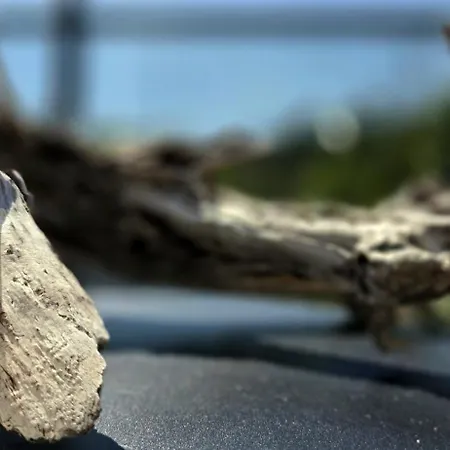 Przystan By Triapart Lejlighed Jantar