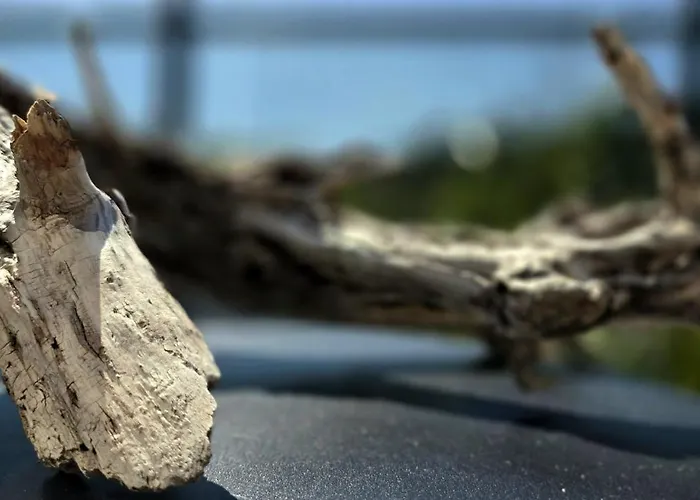 Przystan By Triapart Apartmán Jantar