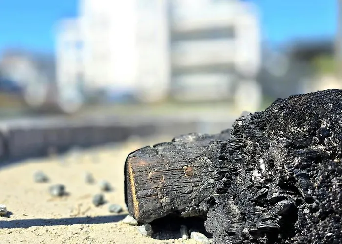 Przystan By Triapart *